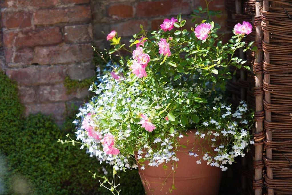 Wren Cottage, A Very Cosy Historic Coastal Cottage In A Pretty Little Village Wickham Market Zewnętrze zdjęcie