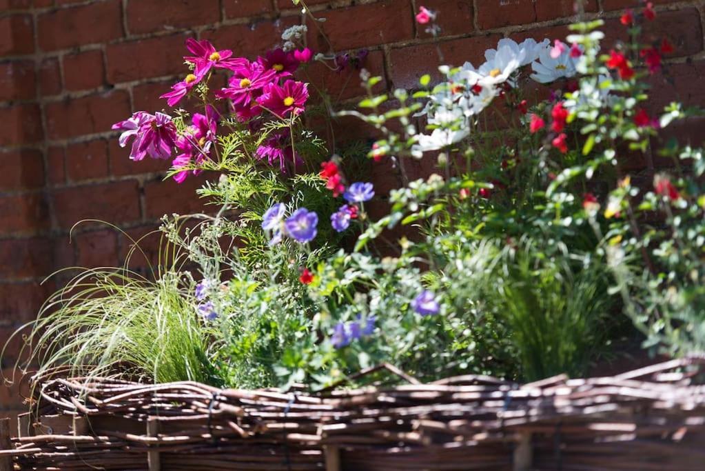Wren Cottage, A Very Cosy Historic Coastal Cottage In A Pretty Little Village Wickham Market Zewnętrze zdjęcie